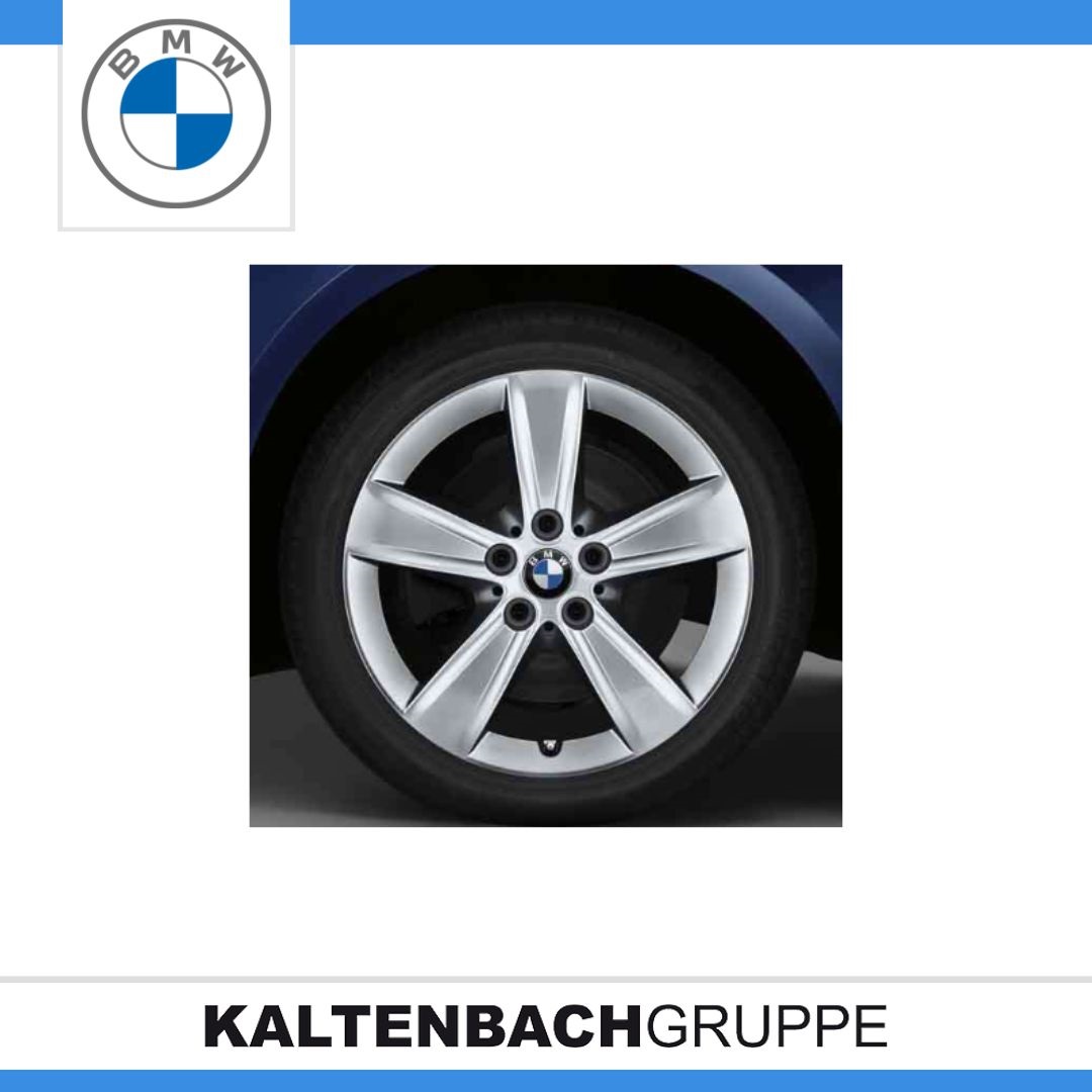 Sternspeiche 478.JPG